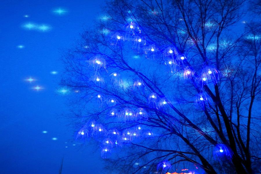 1550651189712077.jpg timg (3).jpg