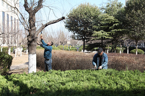 1552892820763757.jpg 春季绿化养护管理_副本.jpg