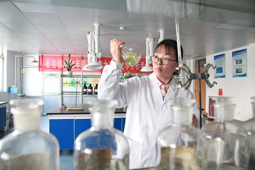 1575081443567056.jpg 打造高素质人才队伍 (3)_副本.jpg