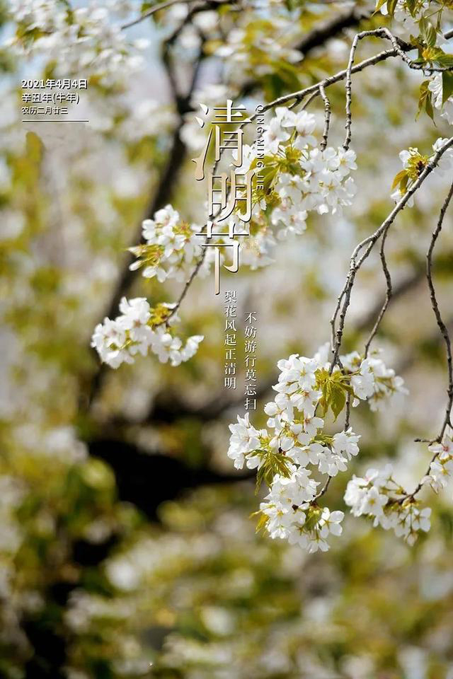 1617514947123439.jpeg 1.3.jpeg