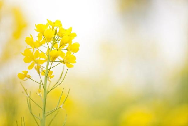 1617514959739586.jpeg 2.jpeg