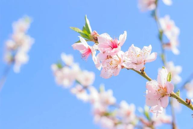 1617514971928523.jpeg 3.jpeg