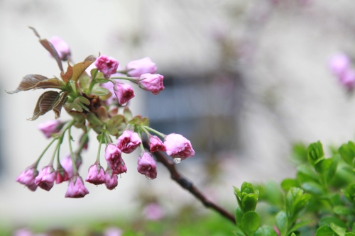 1680750621303604.jpg 3_副本.jpg