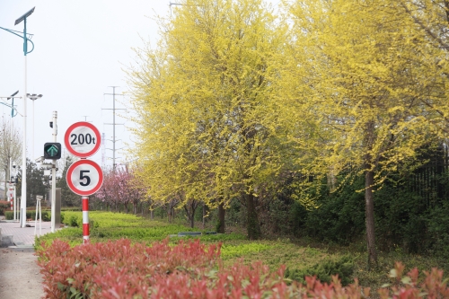 1680750771703731.jpg IMG_5668_副本.jpg