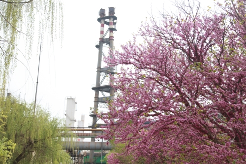 1680750831397348.jpg IMG_5764_副本.jpg