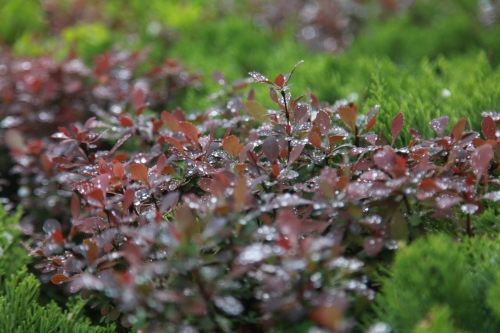 1680750851217593.jpg 4_副本.jpg