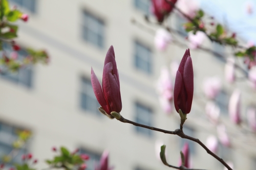 1680750860158463.jpg IMG_5234_副本.jpg