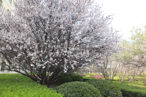 1680750868742038.jpg IMG_5334_副本.jpg