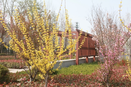 1680750880483125.jpg IMG_5440_副本.jpg