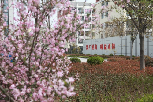 1680750915917959.jpg IMG_5589_副本.jpg