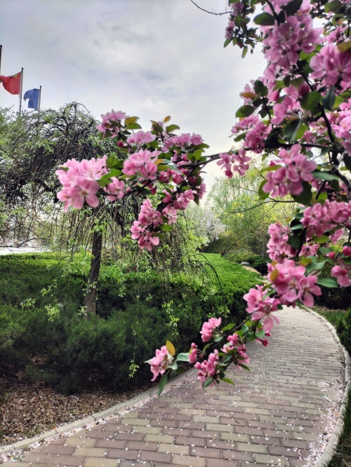 1680750983945301.jpg 微信图片_20230403073243_副本.jpg