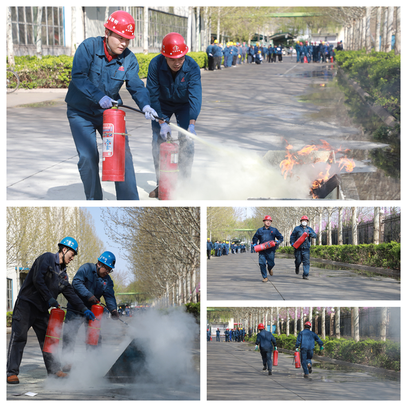 1743814388851040.jpg 拼2_副本.jpg