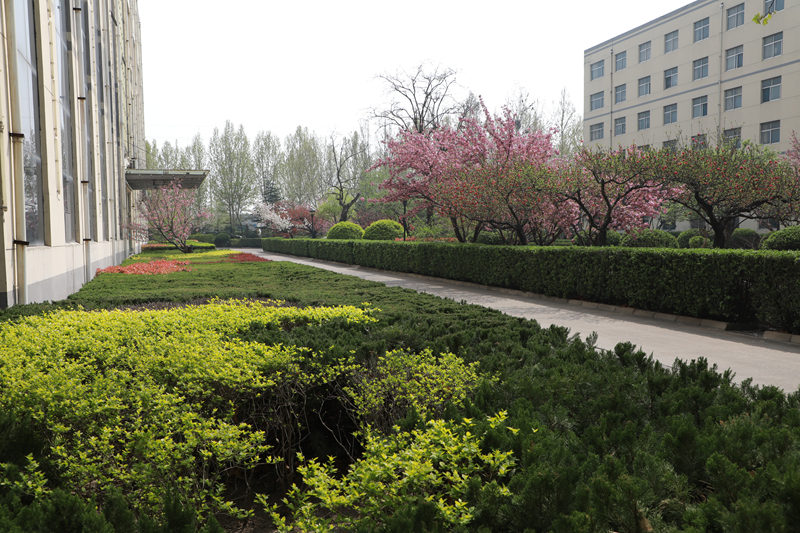 1748307218113314.jpg 4H6A2654_副本.jpg