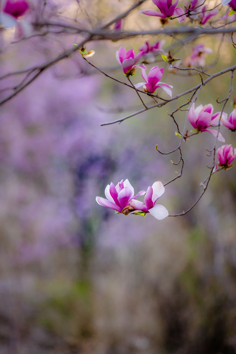 1748307362111460.jpg 微信图片_20250404082105_副本.jpg